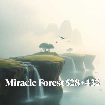 Miracke Forest 528+432 Front Cover