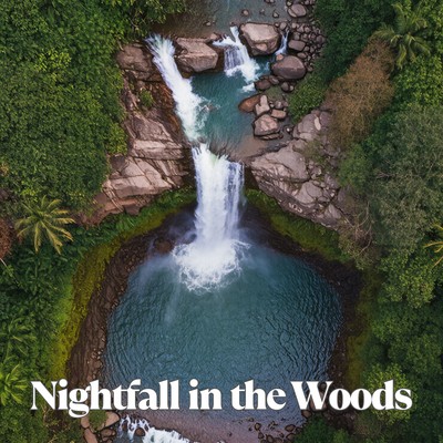 Nightfall in the Woods Front Cover