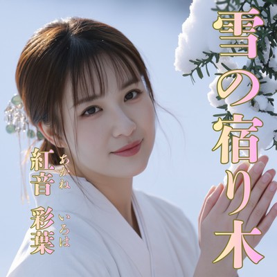 Snow-Kissed Mistletoe Front Cover