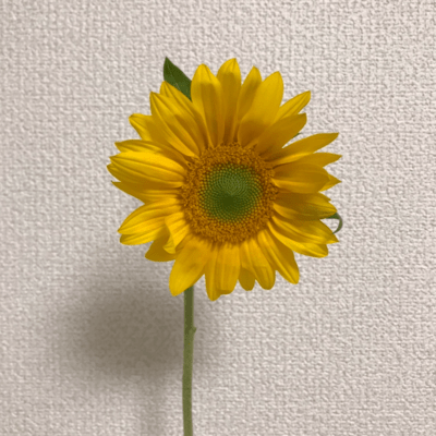 soul mate (2025 Remaster)のジャケット写真