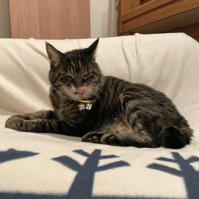 本物のご馳走 (JAGA RECORDS mix)のジャケット写真