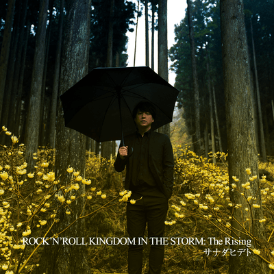 ROCK'N'ROLL KINGDOM IN THE STORM: The Rising Front Cover