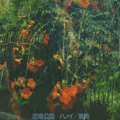 Hanoi/kaniku Front Cover