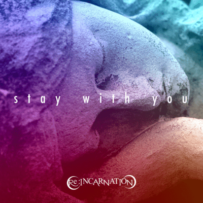 stay with you Front Cover