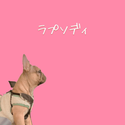 ラプソディのジャケット写真