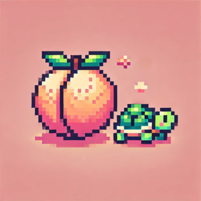 Princess Peach Front Cover