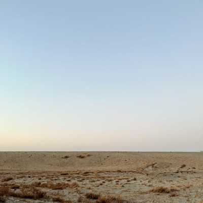 New Dawn Front Cover