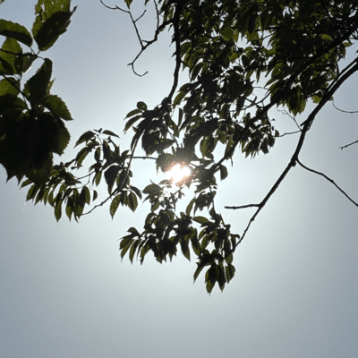 Doudemoii (feat. sUgar) Front Cover