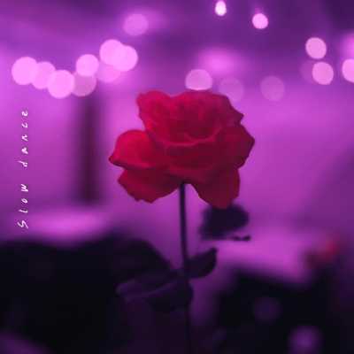 Slow dance Front Cover