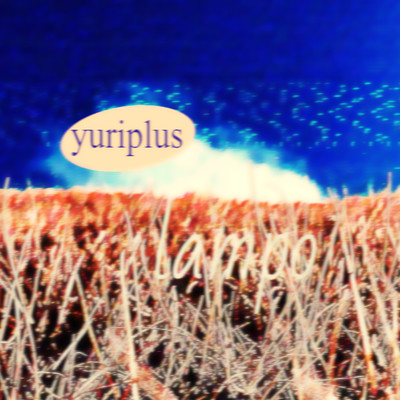 Lampo Front Cover