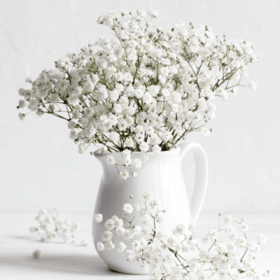 visionary flower Front Cover