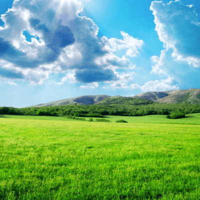 Gentle wind Front Cover