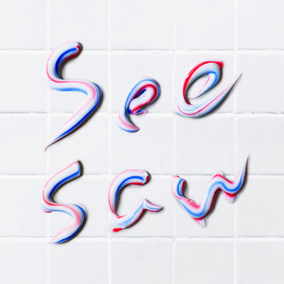 シーソーのジャケット写真