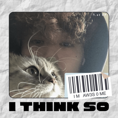 I THINK SOのジャケット写真