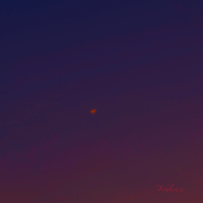 Nakies (feat. gakuted & Shenci) Front Cover