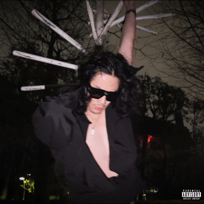 崖っぷちのジャケット写真