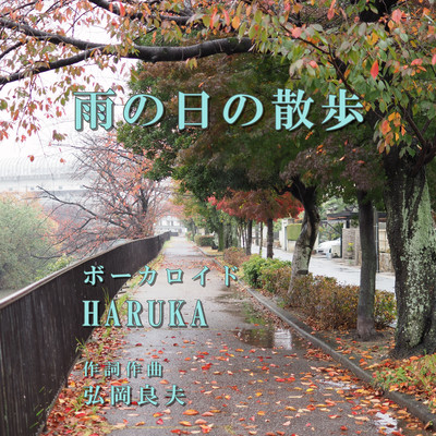 Walk in the rain Front Cover