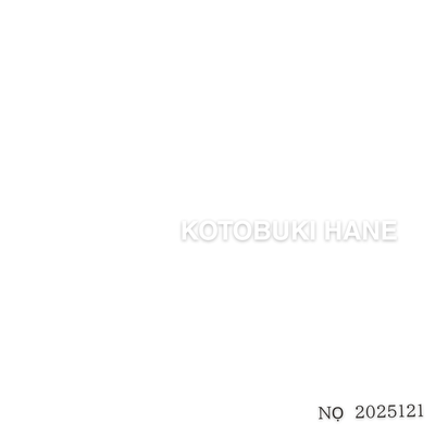 White Album Front Cover