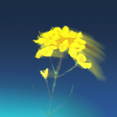 Brassica rapa / meningitis Front Cover