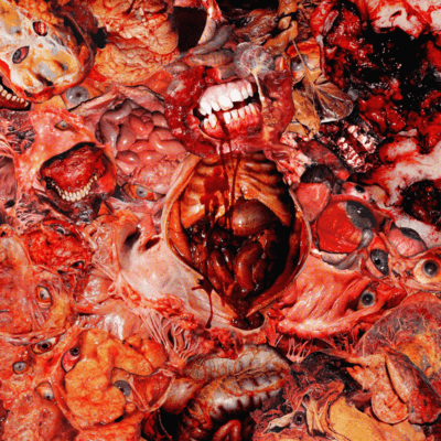 2024.12.14 (Live at Namba BEARS)のジャケット写真