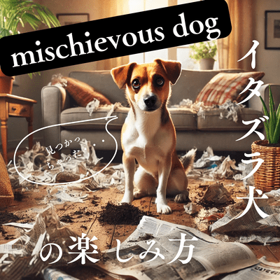 イタズラDOGのジャケット写真