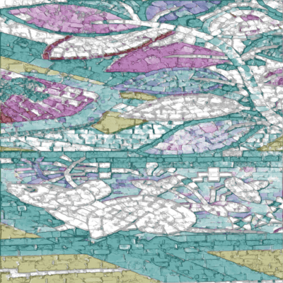 mouse Front Cover