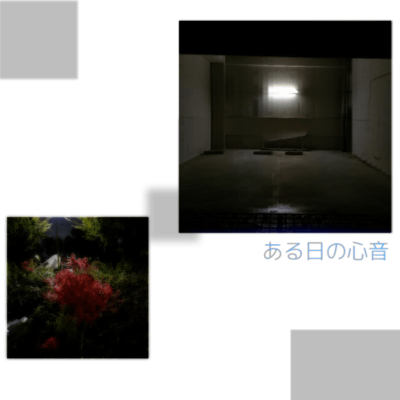 ある日の心音 (feat. 初音ミク)のジャケット写真