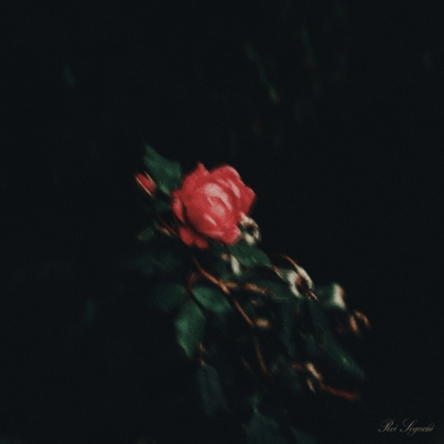 慕情のジャケット写真