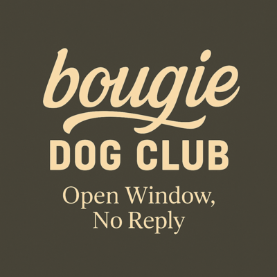 Open Window, No Reply Front Cover