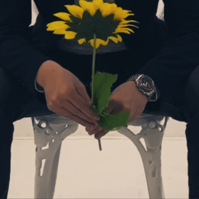 塩ゴリラのジャケット写真