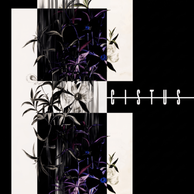 CISTUS (2026 Remaster) Front Cover