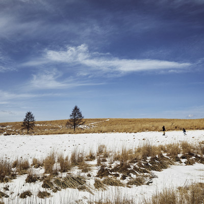 Bonfire at Dawn Soundtrack Front Cover
