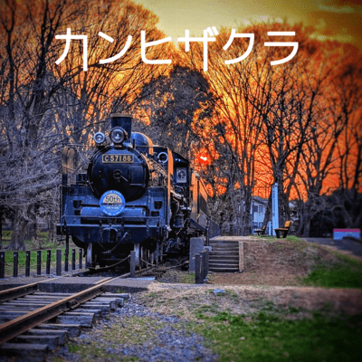 Kanhizakura Front Cover