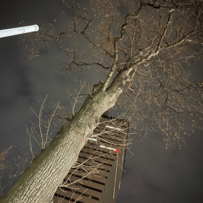 futariのジャケット写真