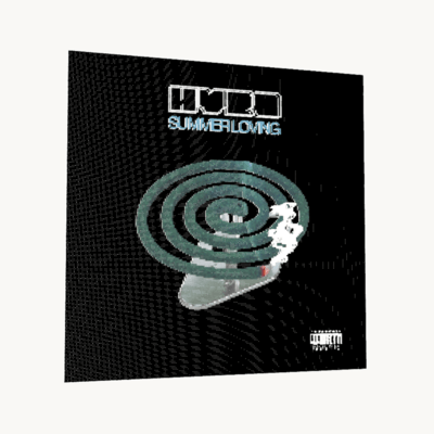 summer loving Front Cover