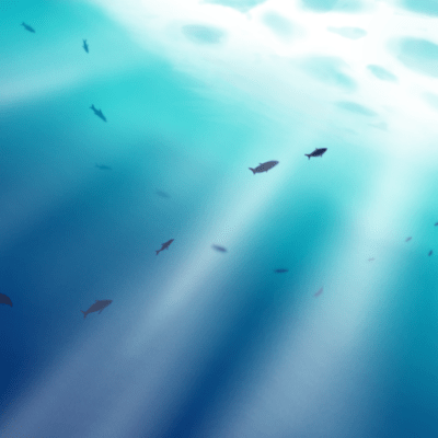 hakujitumu (feat. VY1V4) Front Cover