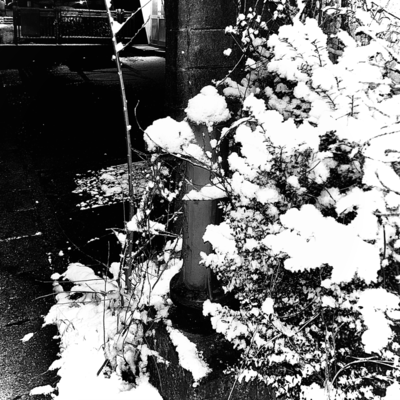 Daysのジャケット写真