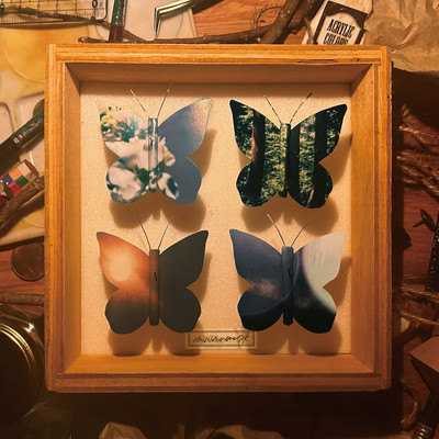 標本のジャケット写真