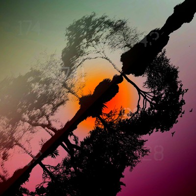 Sunset Mirageのジャケット写真