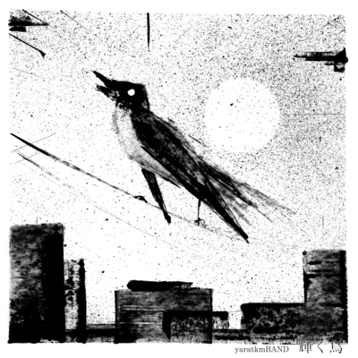 輝く鳥のジャケット写真