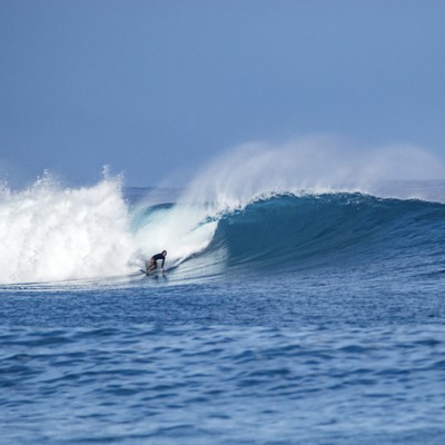 Revolutionのジャケット写真