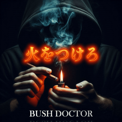 Light the Fire Front Cover