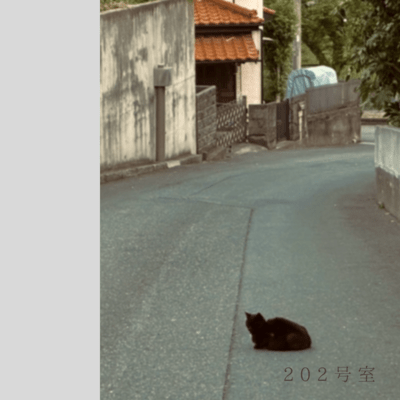 202号室のジャケット写真