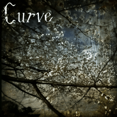 dreams in black Front Cover