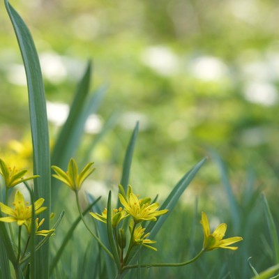 青空へつづくのジャケット写真