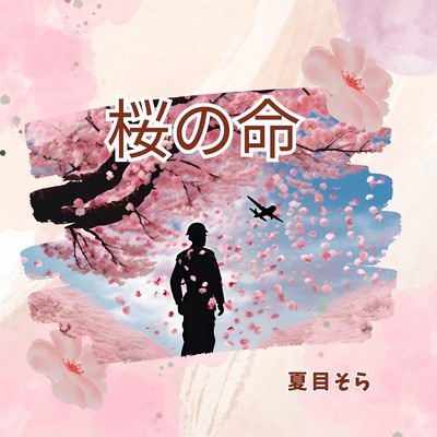 Sapphire Swing Front Cover