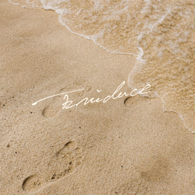 Evidence Front Cover