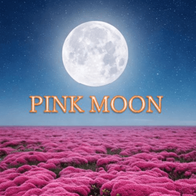 PINK MOON Front Cover