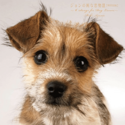 ジョンの純な恋物語【特別完全版】のジャケット写真