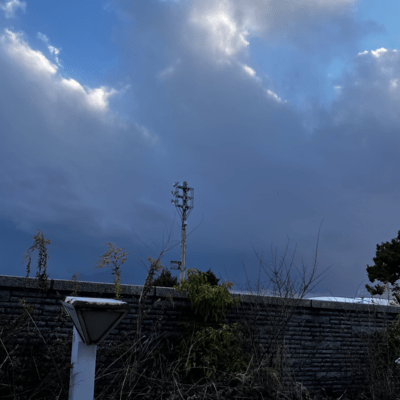 trash (feat. reyzed) Front Cover